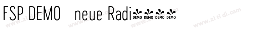 FSP DEMO   neue Radi字体转换